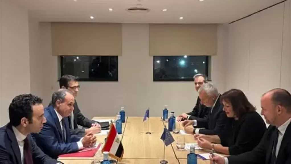 وزير الخارجية يبحث مع المفوضة الأوروبية للمتوسط تعزيز الشراكة