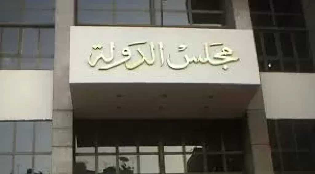 الإدارية العليا تُسقط انتخابات الدقي والعجوزة والجيزة وتقرر إعادة الاقتراع فيها
