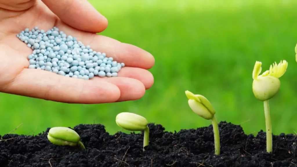 أسعار الأسمدة بالأسواق والجمعيات الزراعية اليوم الأحد 30 نوفمبر