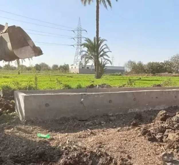 إزالة أعمدة معدة لإنشاء جمالون مخالف على أرض زراعية في القناطر الخيرية