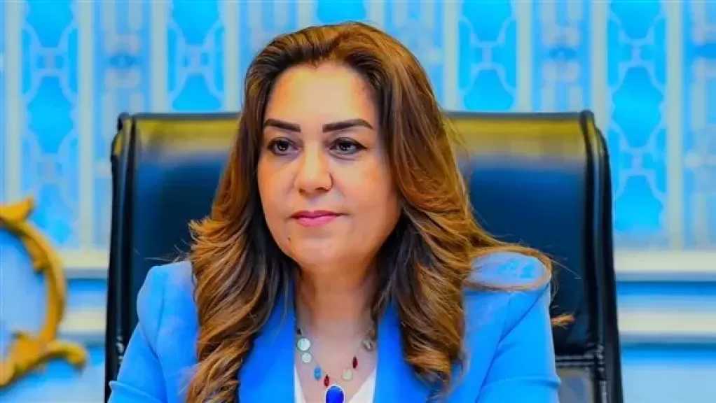 وزيرة التنمية المحلية تتلقى تقريراً حول جهود ملف القضية السكانية في نوفمبر 2025