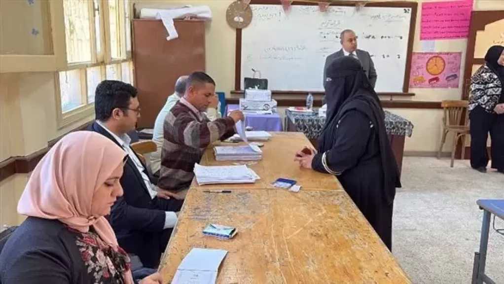 عضو القومي لحقوق الإنسان: المخالفات الممنهجة اختفت في انتخابات الدوائر الملغاة