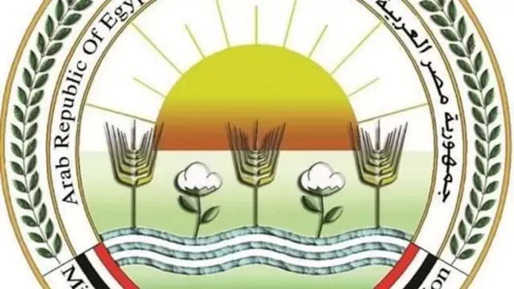 الزراعة: تحصين الماشية بـ 8.1 مليون جرعة للقاحي الحمى القلاعية والوادي المتصدع