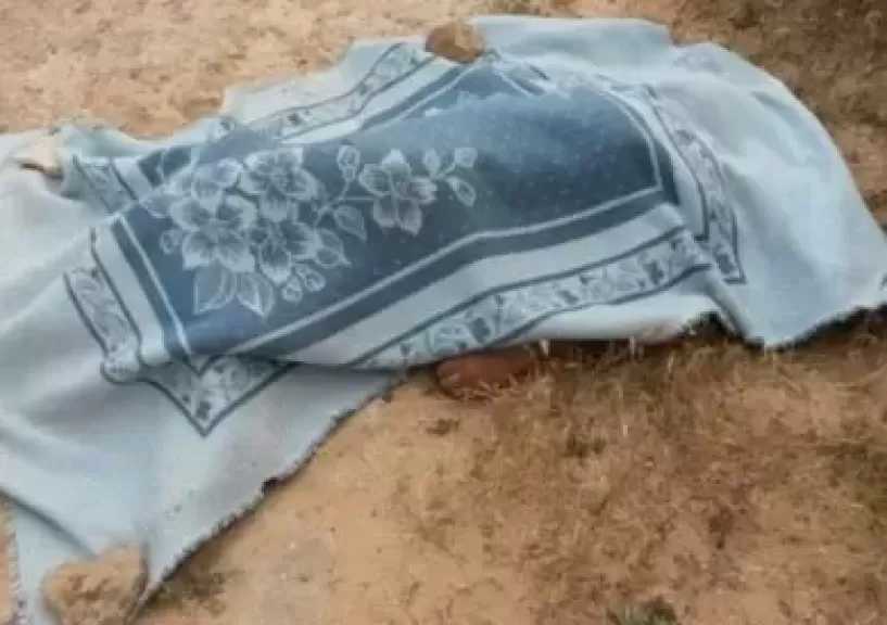 العثور على 3 أطفال متوفين من عائلة واحدة بأرض فضاء بقرية الراهب بالمنوفية