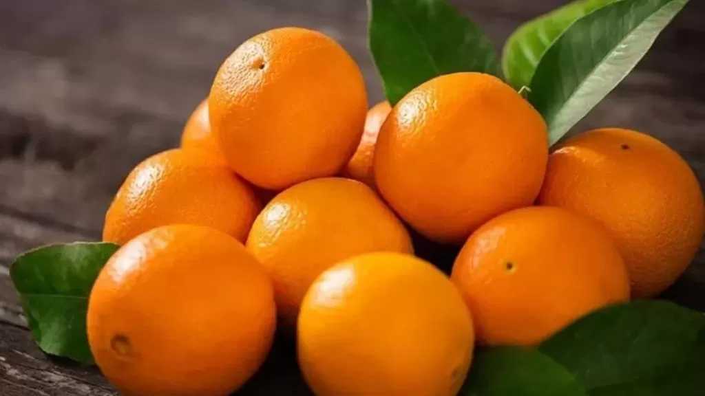 الزراعة: فتح السوق البيروفي أمام صادرات مصر من الموالح