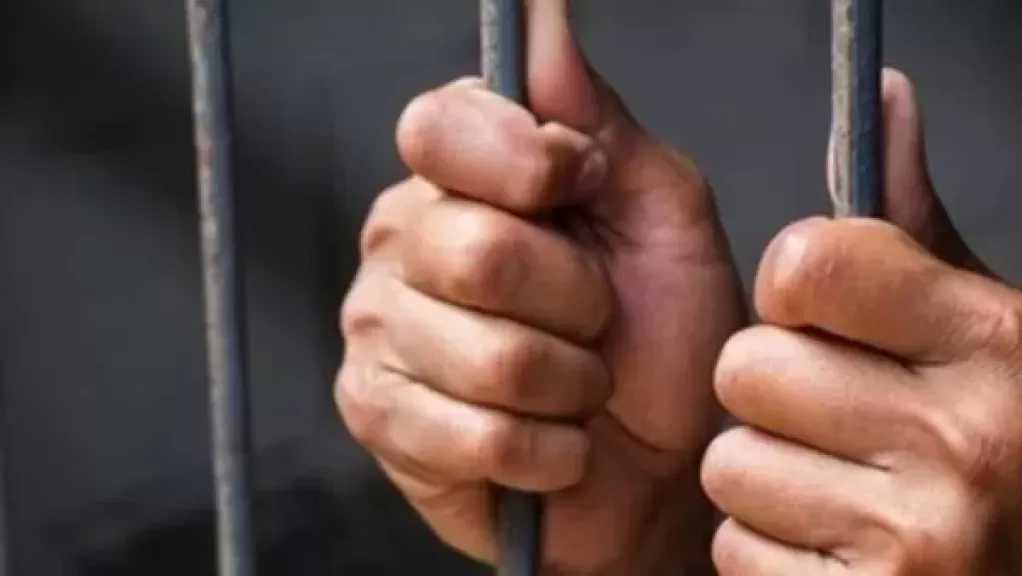 إخلاء سبيل المتهم بالاعتداء على كلب بالضرب فى السلام