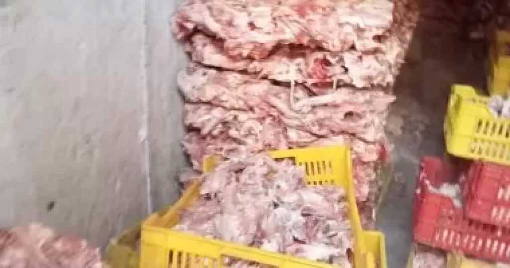 ضبط 2 طن هياكل دجاج غير صالحة للاستهلاك بكرداسة