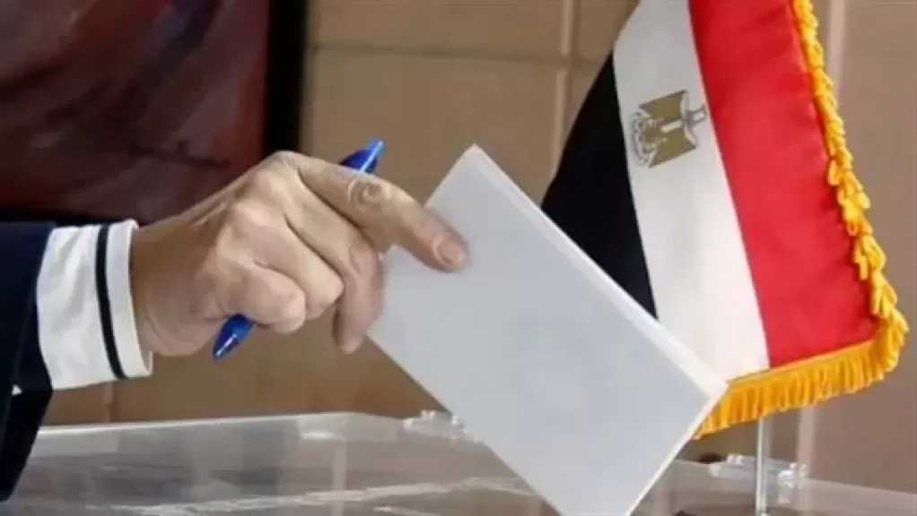 موعد تصويت المصريين بالخارج بالمرحلة الثانية من انتخابات مجلس النواب