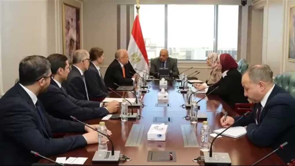 وزير الكهرباء يبحث مع سفير السويد بالقاهرة ووفد شركة لينكسون ”Linxon ” التعاون المشترك