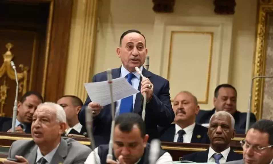 برلمانى يطالب الحكومة بوقف التحايل على حقوق العمال داخل الشركات والمؤسسات التنفيذية