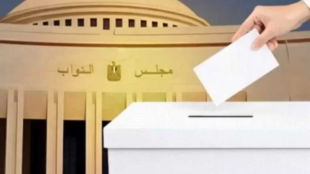 النقض تحيل دعوى بطلان انتخابات مجلس النواب للقوائم إلى الدستورية العليا