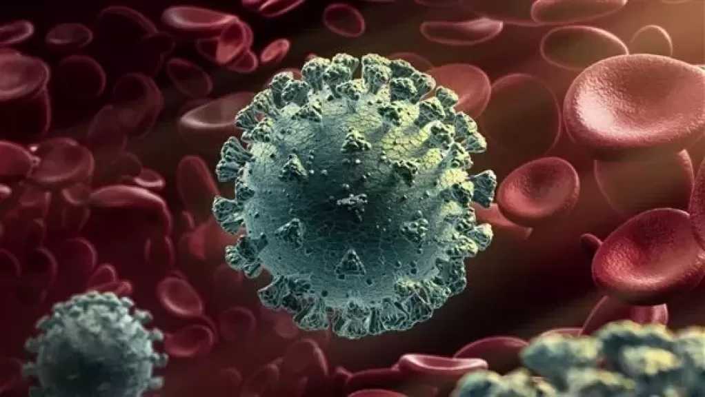 استشاري مناعة: الفيروسات التنفسية السائدة خلال تلك المرحلة هي الإنفلونزا وكورونا بمتحوراته