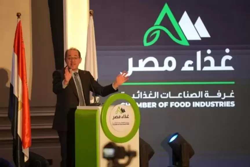 وزير المالية: نمو قطاع الصناعة بقوة.. ليقود مؤشرات النمو الاقتصادي في مصر