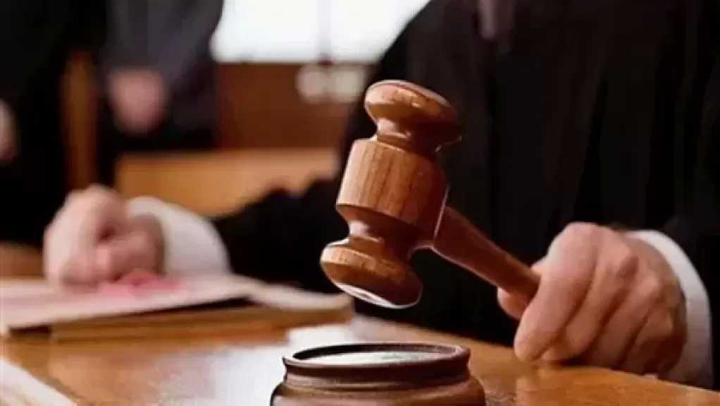 نظر محاكمة 11 متهما بقضية خلية داعش التجمع الأول غدا