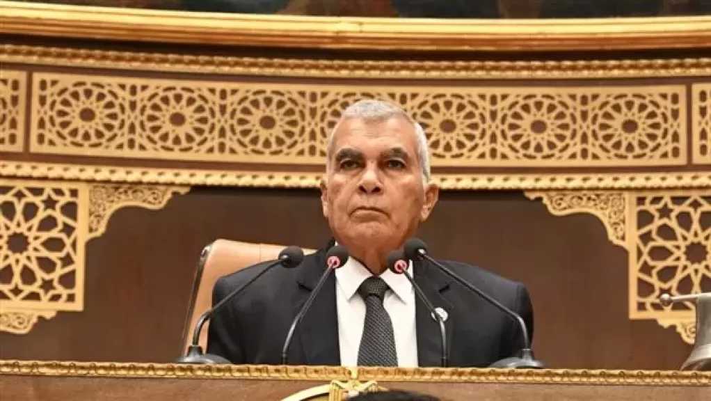 مجلس الشيوخ يوافق مبدئيًا على تعديل قانون الكهرباء