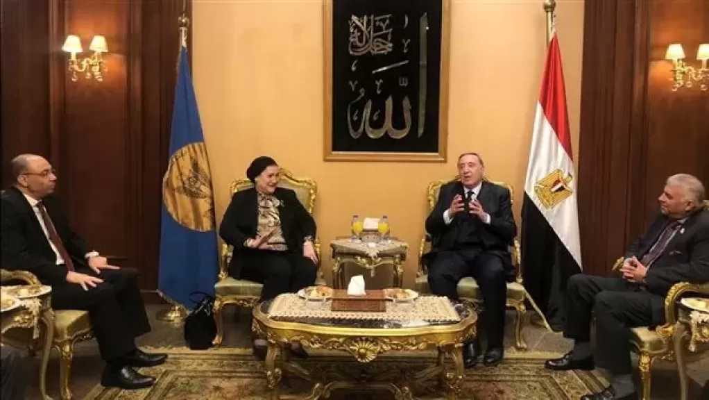 رئيسة القومي للطفولة تبحث مع رئيس المحكمة الدستورية العليا دعم حقوق الطفل