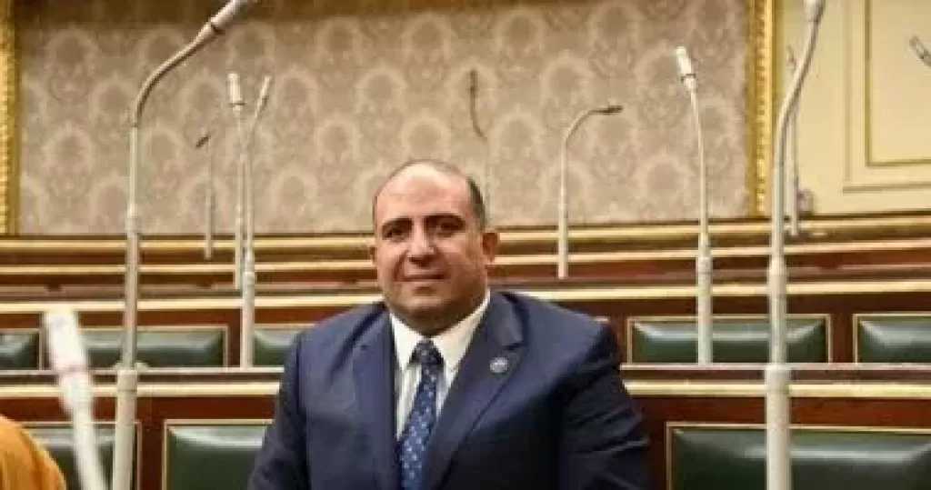 النائب محمد سليم: الدولة قدمت نموذجا متكاملا بإدارة الانتخابات البرلمانية