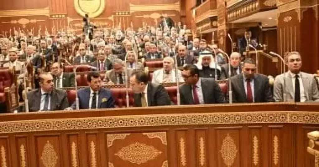 نائب: القيادة السياسية تحرص على دعم النشاط الاقتصادى وتعزيز بيئة الأعمال