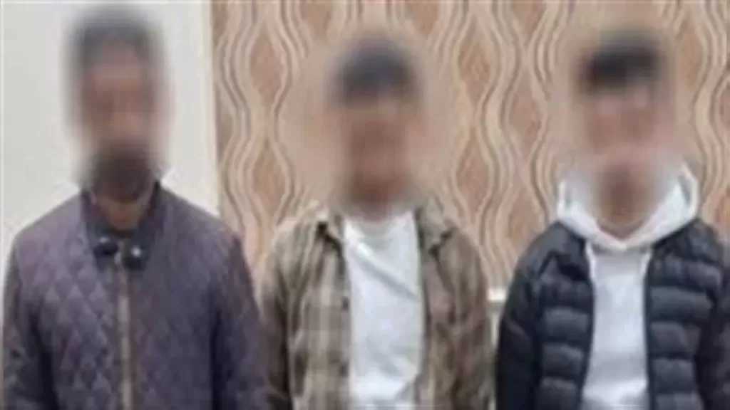 الداخلية تضبط 3 أشخاص بحوزتهم ملصقات دعاية بمحيط لجان البحيرة