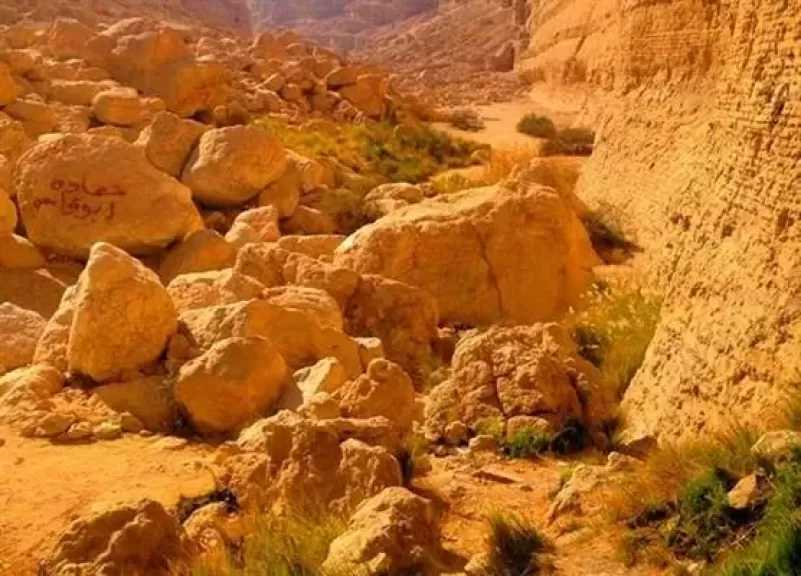 مصر تُعزز حماية التنوع البيولوجي بخطط إستراتيجية وبرامج رصد وحماية شاملة