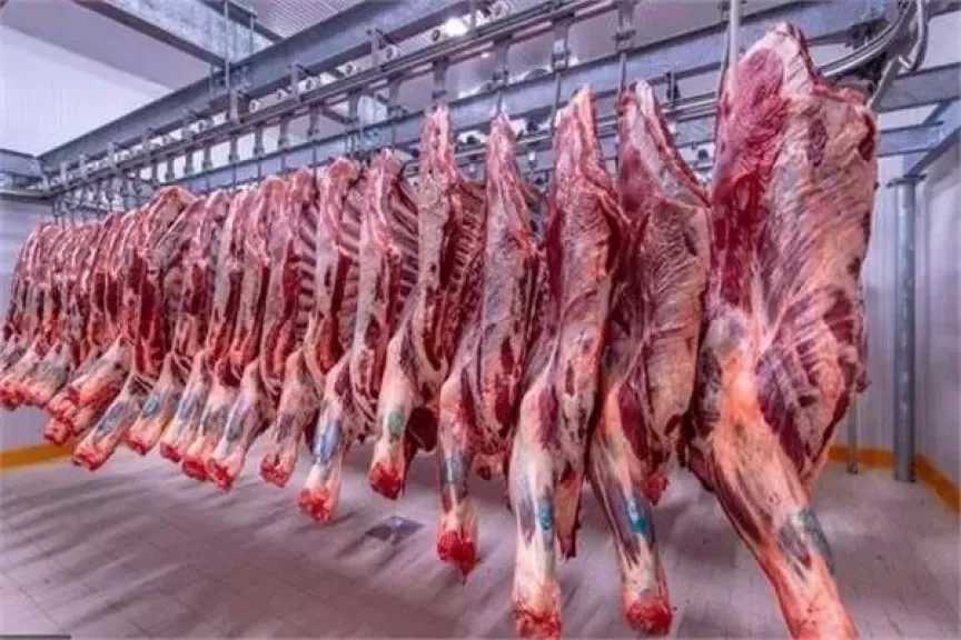 نقيب الفلاحين: اللحمة القائم بـ 145 جنيه وأفضل كيلو أحمر 350 جنيه
