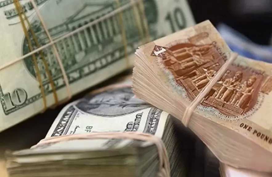 رئيس تجارة المستوردين: استقرار سعر الصرف ركيزة لتحسين الخطط المالية وتراجع الأسعار