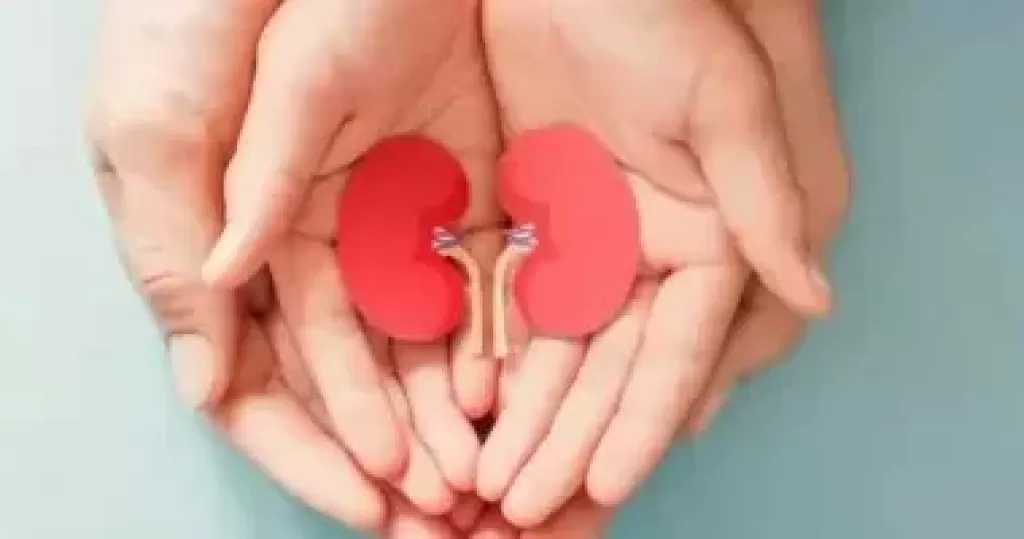 علامات فى الشتاء بتقولك إن كليتك بحاجة للماء