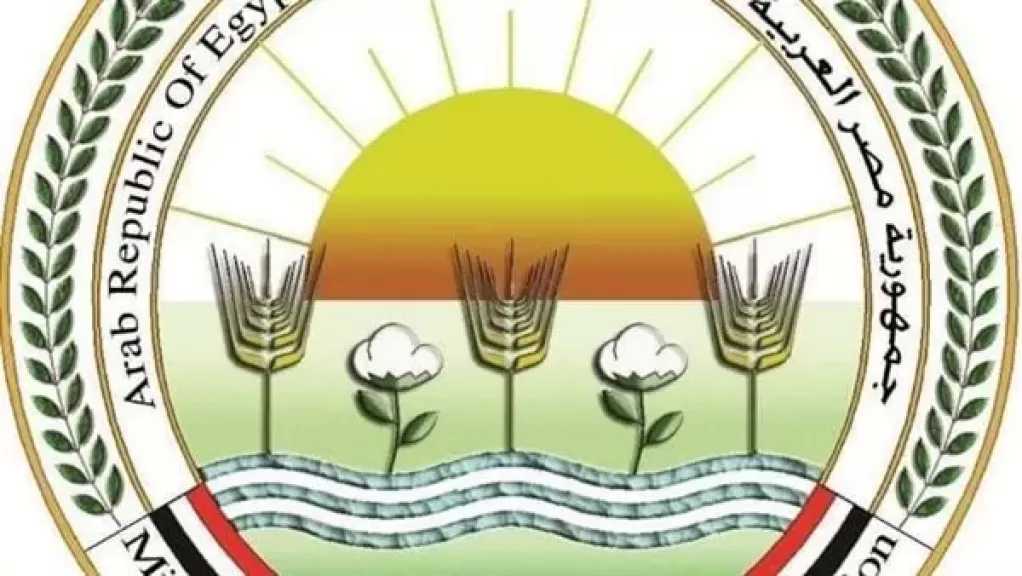 الزراعة تعلن فتح السوق الأوزبكي أمام صادرات مصر من الفراولة الطازجة