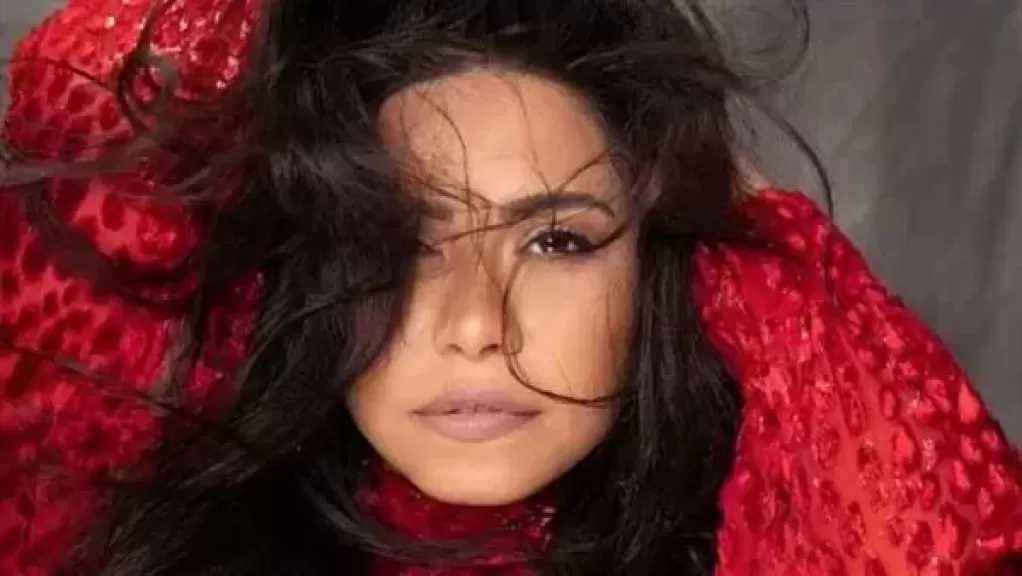 تأييد براءة الفنانة شيرين عبد الوهاب في اتهامها بسب مدير حساباتها