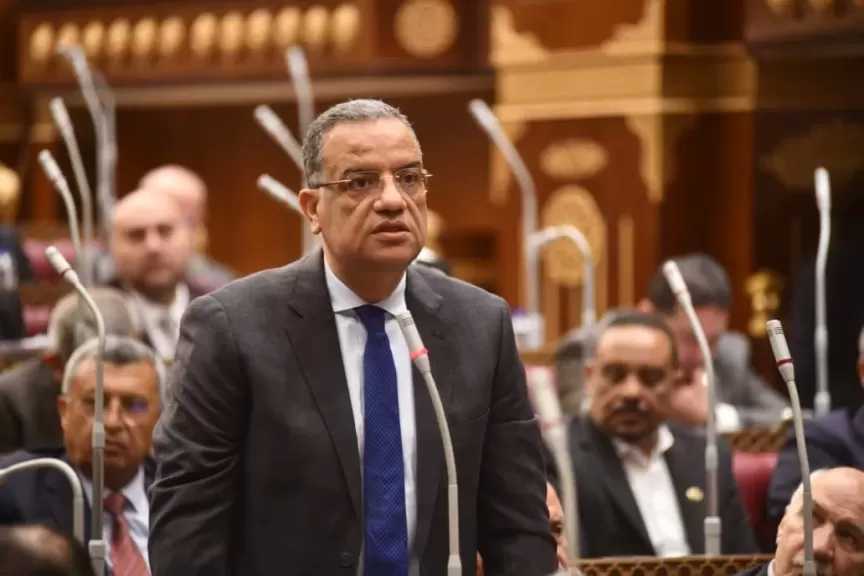 برلمانية الجبهة الوطنية بالشيوخ: استثمارات الدولة في حماية الشواطئ والمياه ”أمن قومي”