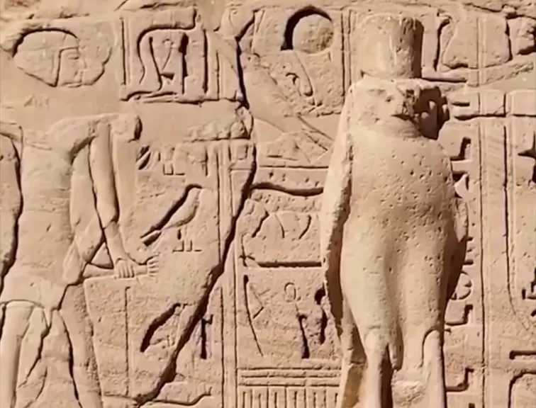 فيديو|| العيد القومي لمحافظة أسوان.. بوابة مصر الجنوبية
