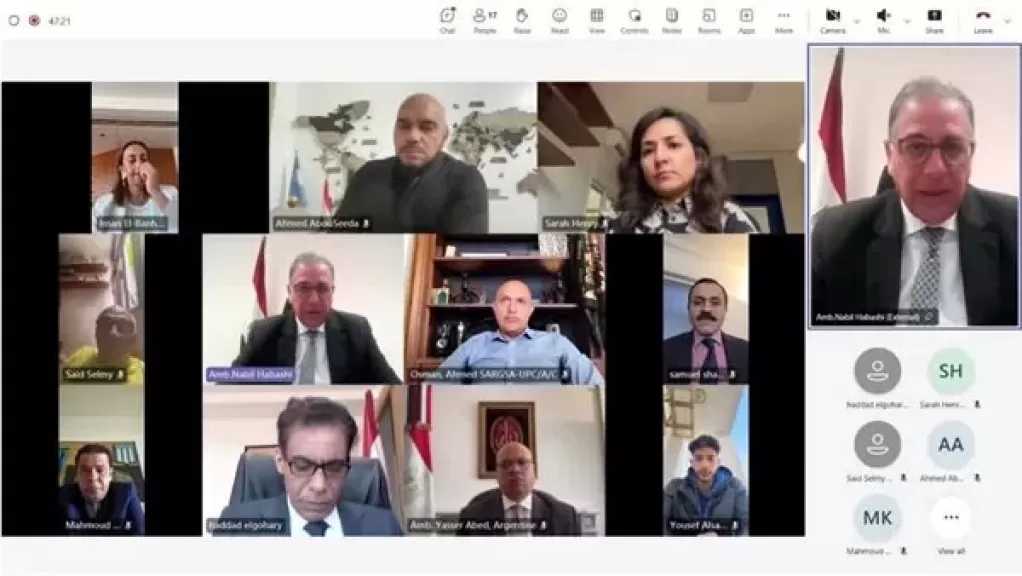 الخارجية: رعاية المصريين بالخارج أولوية وطنية وتواصل دائم مع الجاليات
