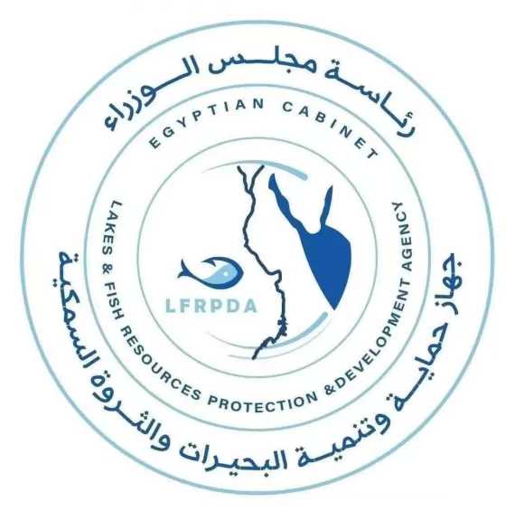 جهاز حماية وتنمية البحيرات والثروة السمكية يواصل أعمال الصيد بمزرعة الزاوية السمكية بكفر الشيخ