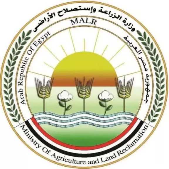 ”الزراعة” تنفي رصد جراد صحراوي بـ ”بئر العبد” في سيناء