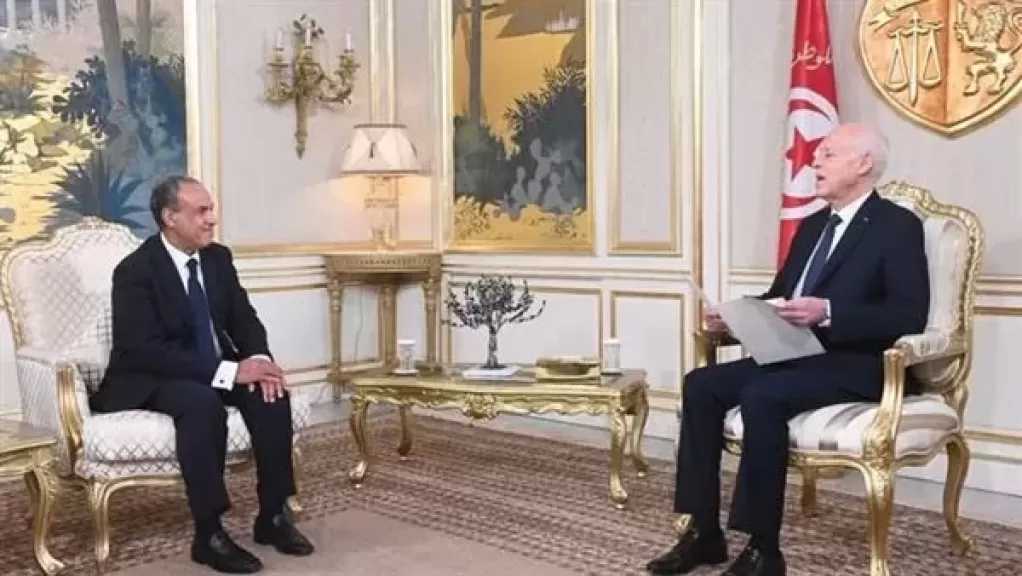 وزير الخارجية يسلّم رسالة من الرئيس السيسي لرئيس تونس
