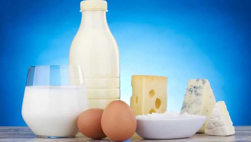 تراجع أسعار البيض والألبان اليوم الثلاثاء 3 فبراير