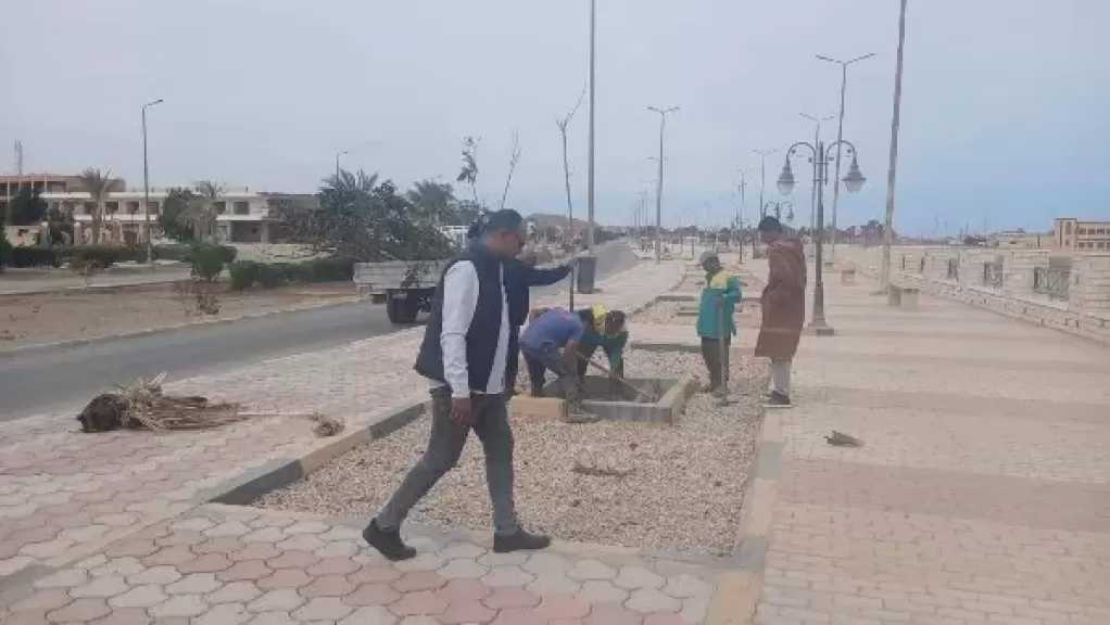 استمرار أعمال زراعة الأشجار بمرسى علم ضمن مبادرة 100 مليون شجرة