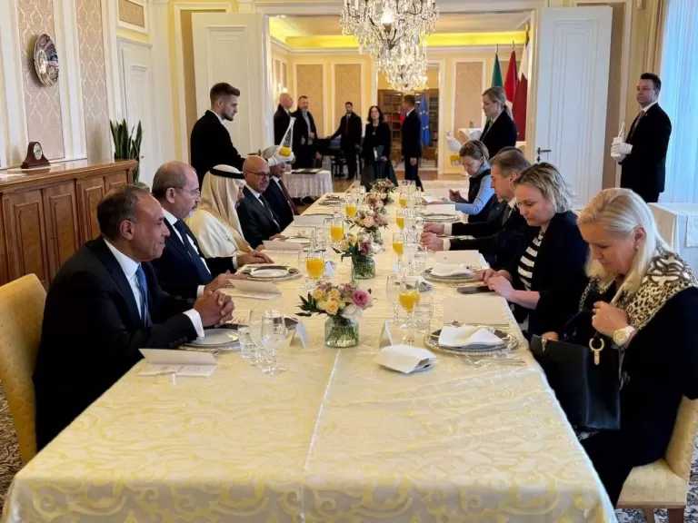وزير الخارجية يبحث مع رئيس وزراء سلوفينيا التطورات الإقليمية والدولية إلى جانب وزراء خارجية أربع دول عربية