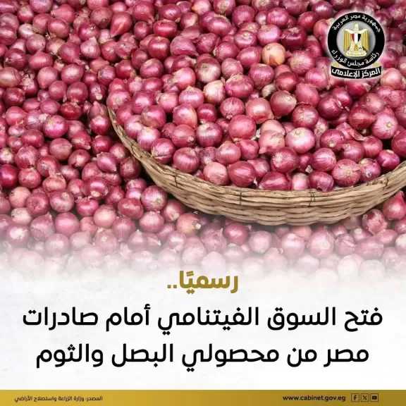 فتح السوق الفيتنامي لزيادة صادرات مصر من الثوم والبصل