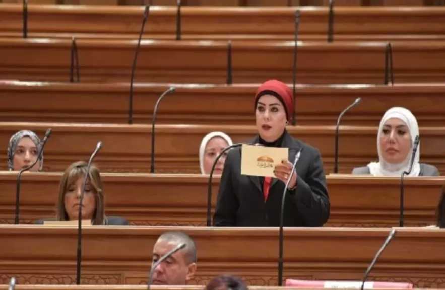جيهان شاهين: تحذيرات الرئيس السيسي رسالة واضحة بضرورة احترام سيادة الدول ووحدة أراضيها