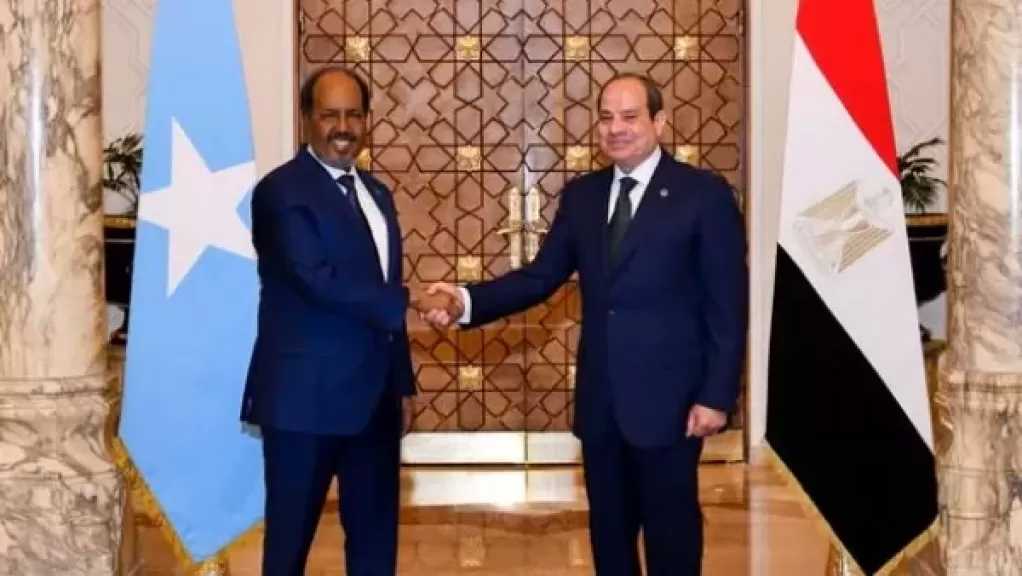 برلماني: مصر لها دور محوري في دعم واستقرار القرن الإفريقي