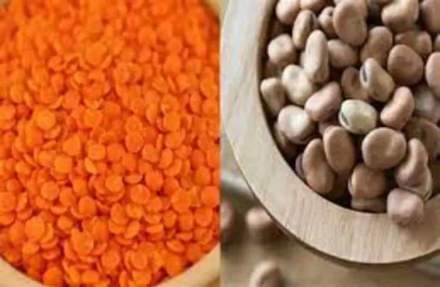 تراجع كبير في أسعار العدس والزيوت واستقرار ”السلع الاستراتيجية” اليوم الثلاثاء 10 فبراير
