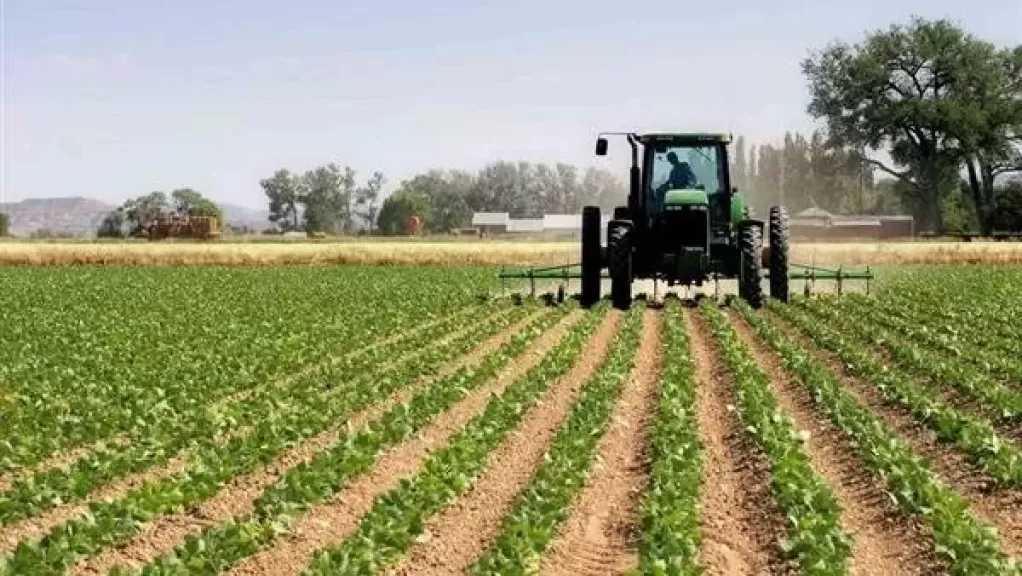 متحدث الزراعة: الوزارة تستثمر البحث العلمي لاستصلاح الصحراء وتطوير المحاصيل الصحراوية