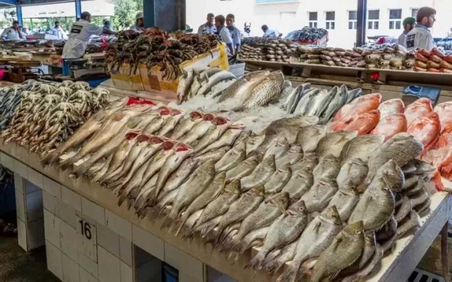 تراجع أسعار البلطي والجمبري والماكريل في سوق السمك اليوم الخميس 12 فبراير