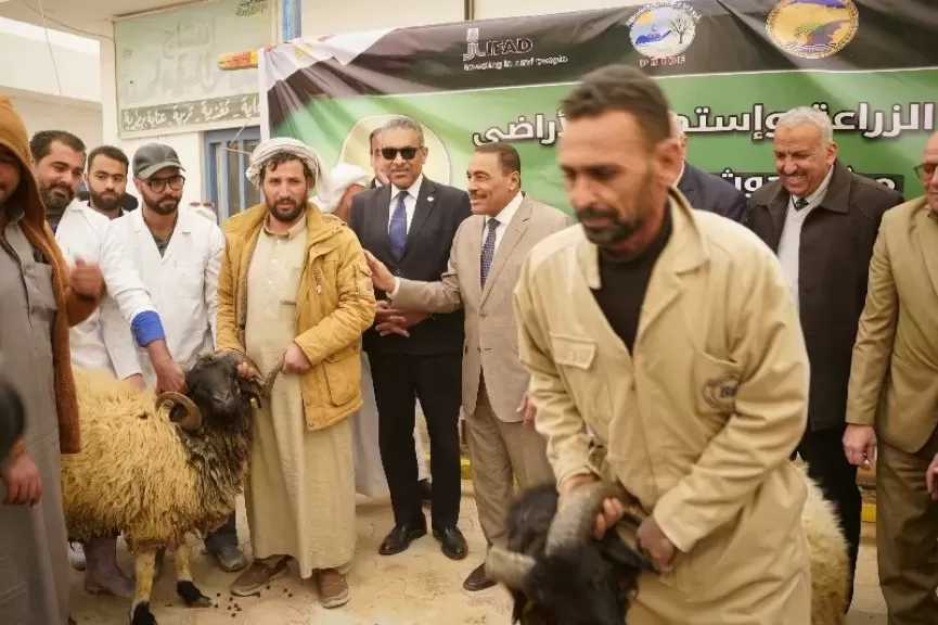 توزيع كباش برقي وشتلات الزيتون على المربين والمزارعين بمطروح