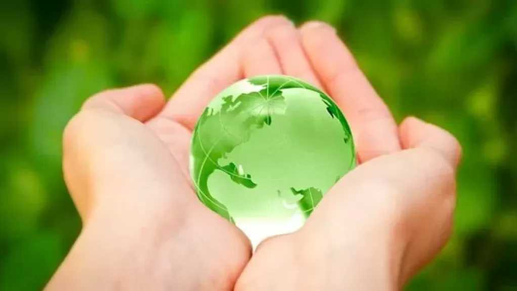 أستاذ طاقة: التشكيل الحكومي الجديد سيسعى لتلبية التسارع العالمي نحو مستقبل أخضر