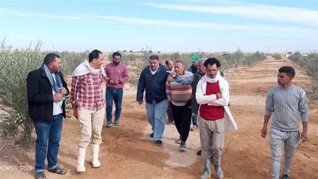 الزراعة تواصل تقديم خدمات الدعم الفني والإرشادي لمزارعي التجمعات الزراعية بسيناء