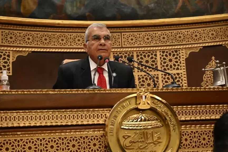 رئيس مجلس الشيوخ يهنئ الوزراء الجدد: تداول المسئولية جوهر الديمقراطية