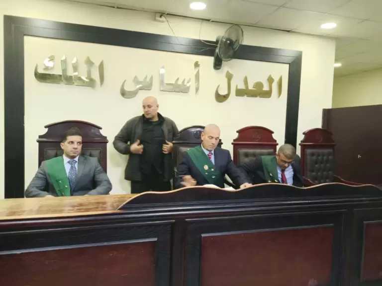 المؤبد لسائق توكتوك بتهمة التعدي على طفلة 5 سنوات في البحيرة