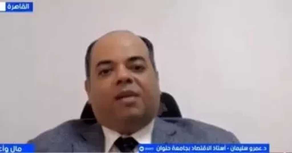 أستاذ اقتصاد: المشروعات الصغيرة ومتناهية الصغر محركات أساسية للنمو